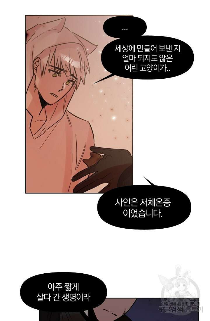 골판지 상자 안 고양이씨 시즌2 12화 18