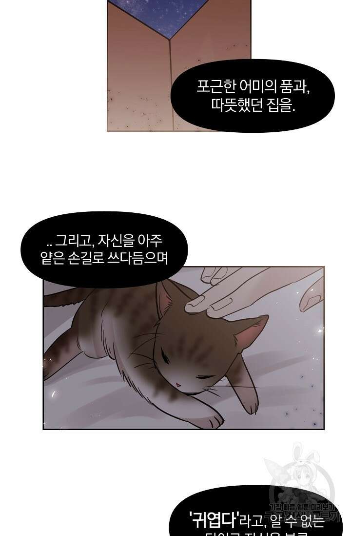 골판지 상자 안 고양이씨 시즌2 12화 23