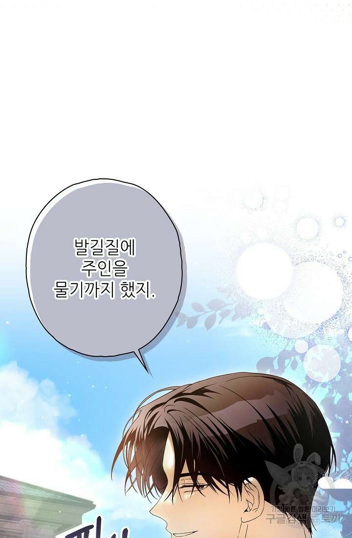 먹이사슬(카카오) 33화 17