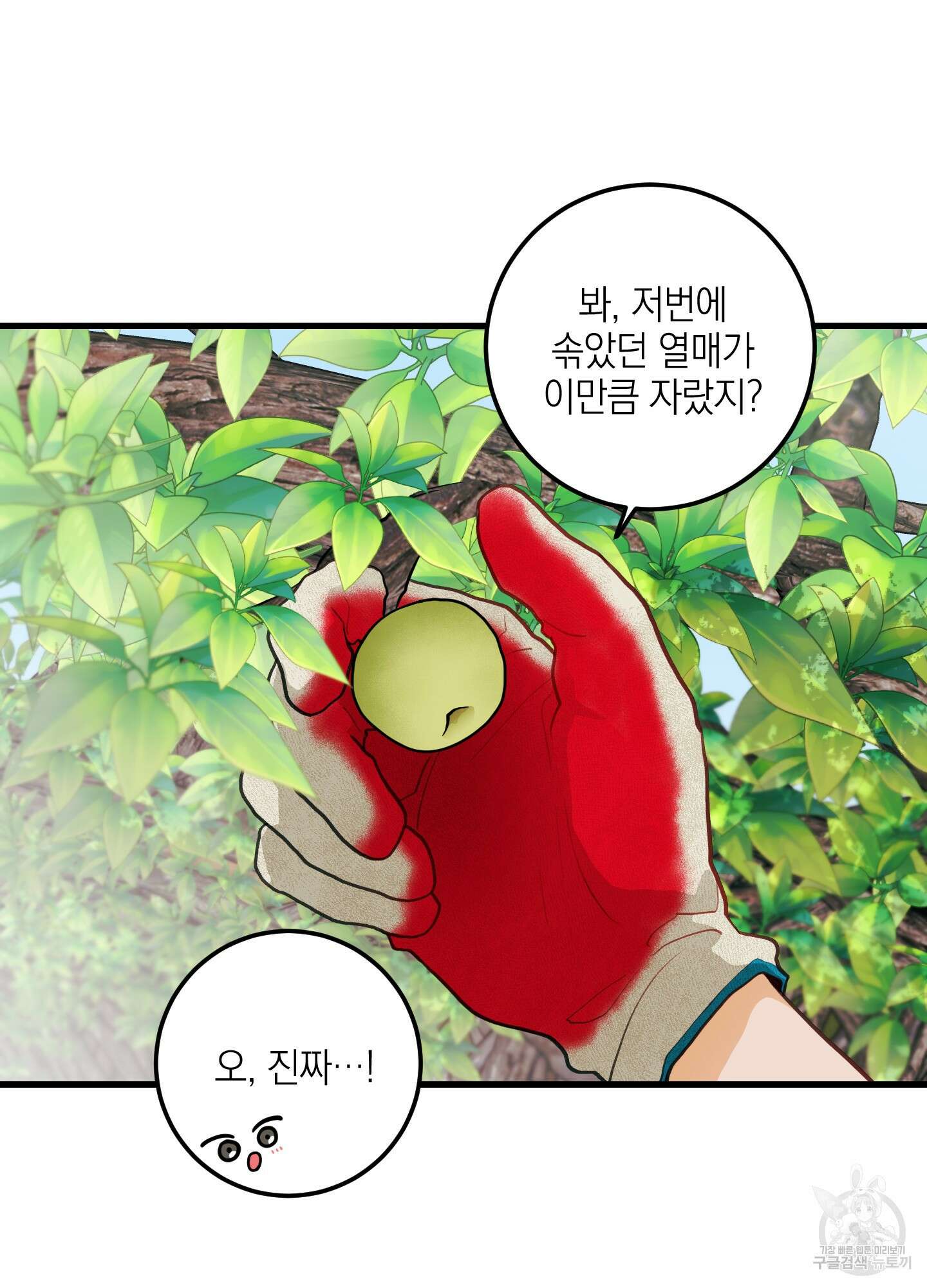 배꽃 피는 사랑 35화 3
