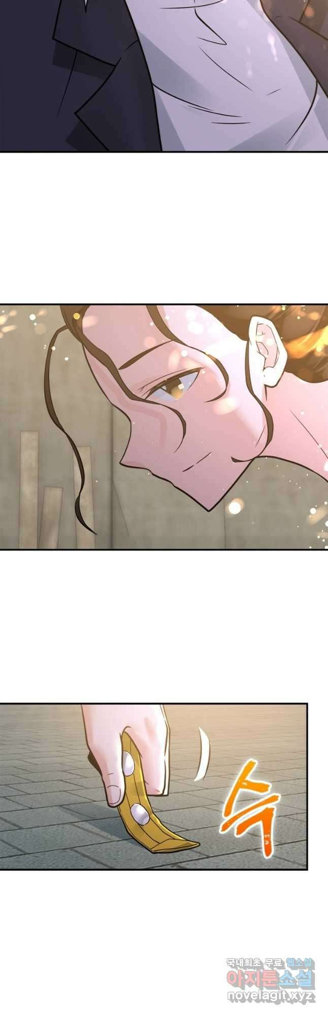링 오브 가디언 335화 19