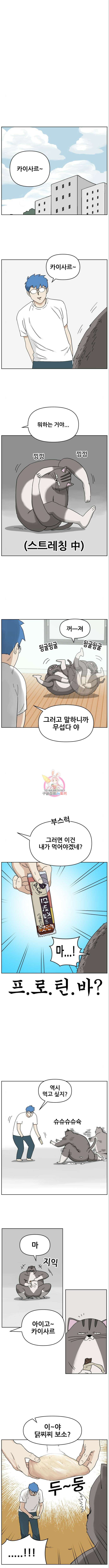 괴양이 22화 1