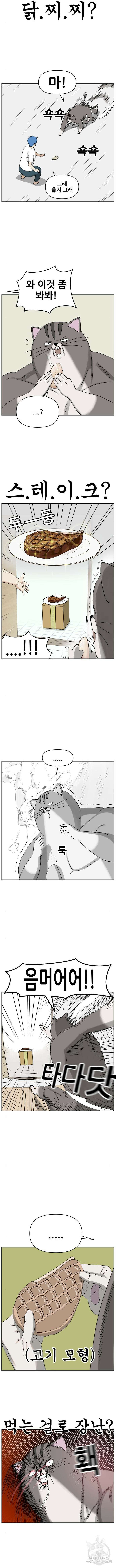 괴양이 22화 2