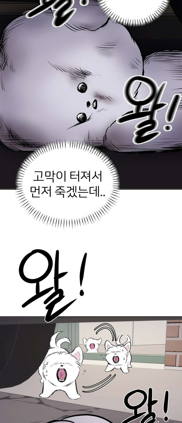 개같이 탈출 14화 52