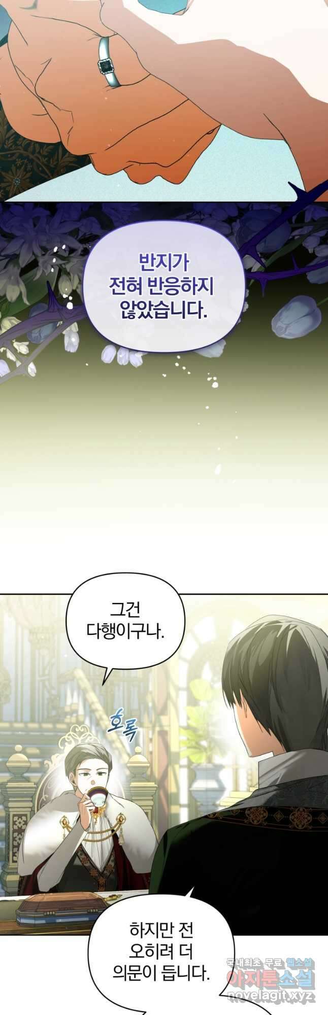 미친 악당의 품으로 떨어졌다 32화 37