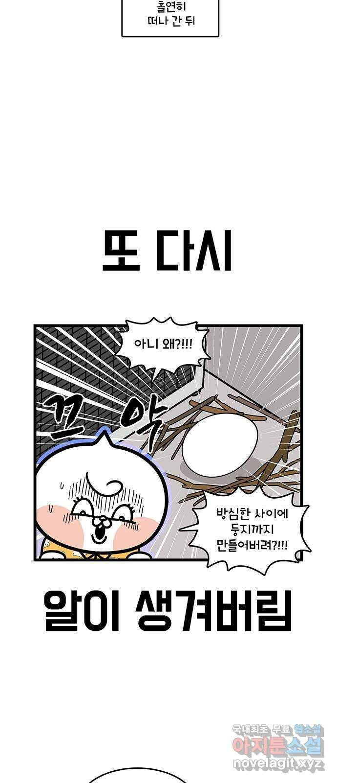 윌유메리미 시즌2 731화 비둘기 알이 또 2