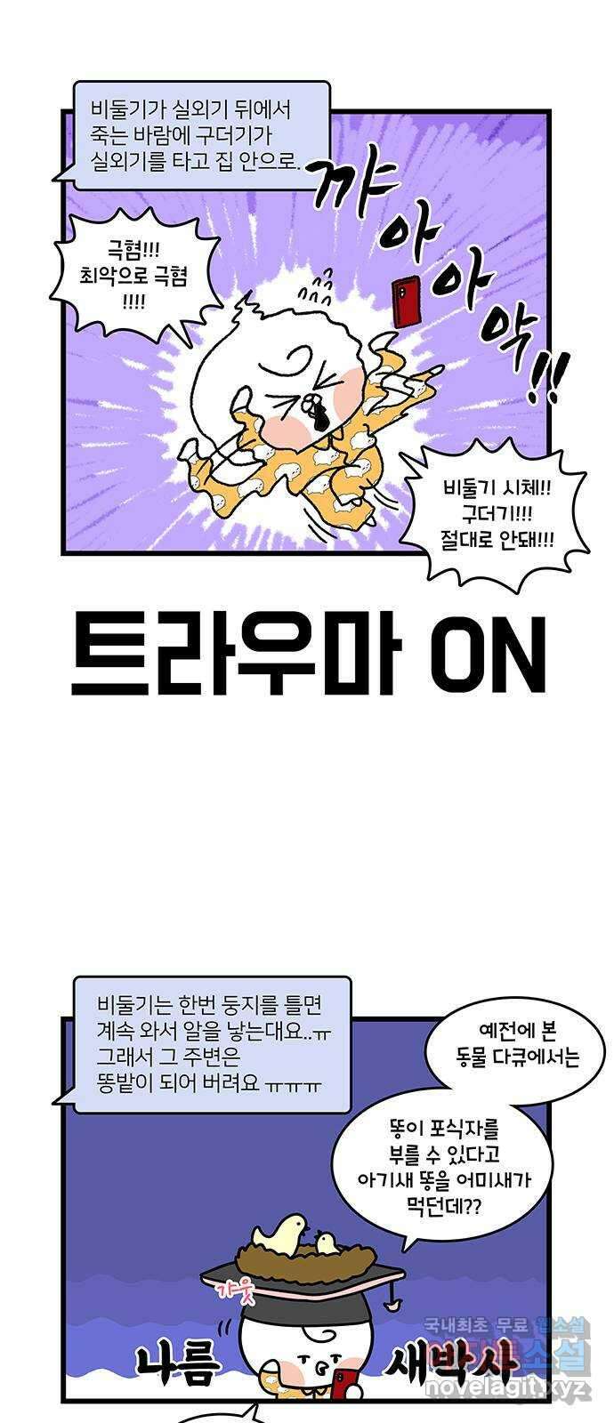 윌유메리미 시즌2 731화 비둘기 알이 또 4
