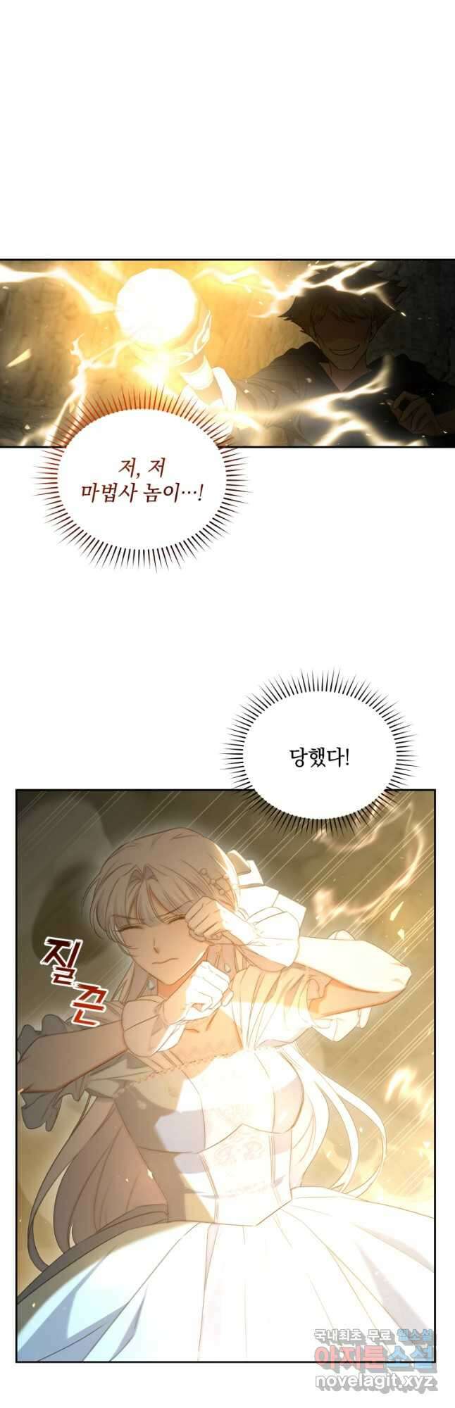 처형당할 운명을 바꿔 보겠습니다 47화 2