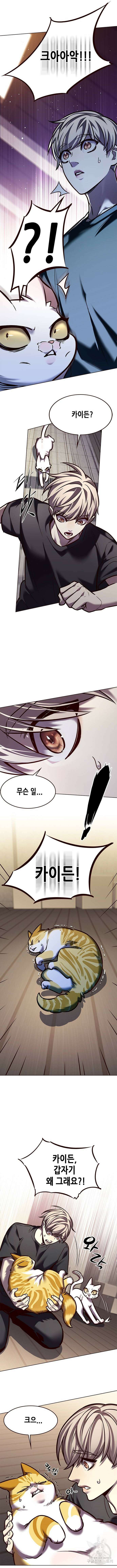 일렉시드 275화 11