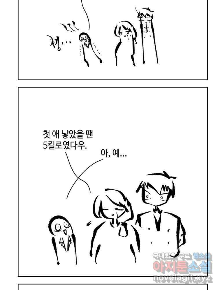 닭은 의외로 위대하다 6.예쁜 나이 스물여섯 5 完 12