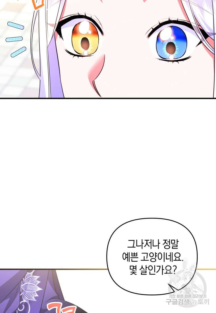 술탄의 귀한 고양이가 되었습니다 33화 6