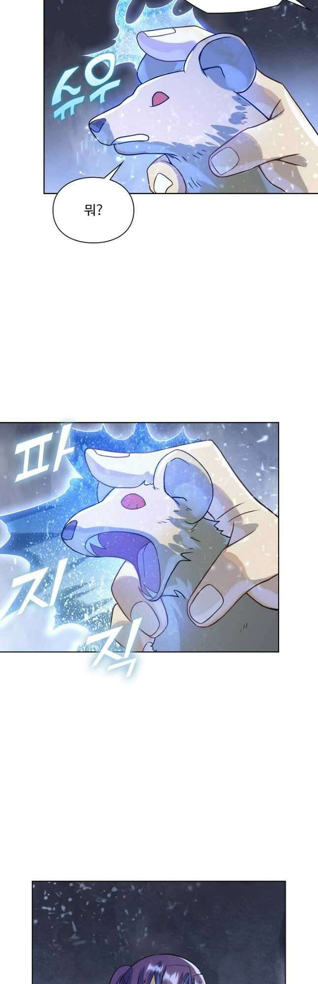 백련성신 1079화 38