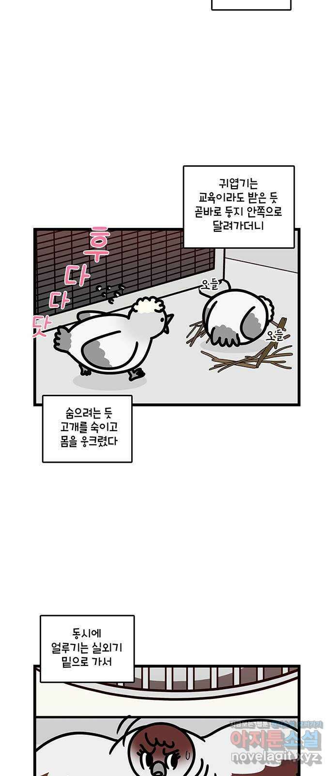 윌유메리미 시즌2 740화 귀엽기야 잘 가 2