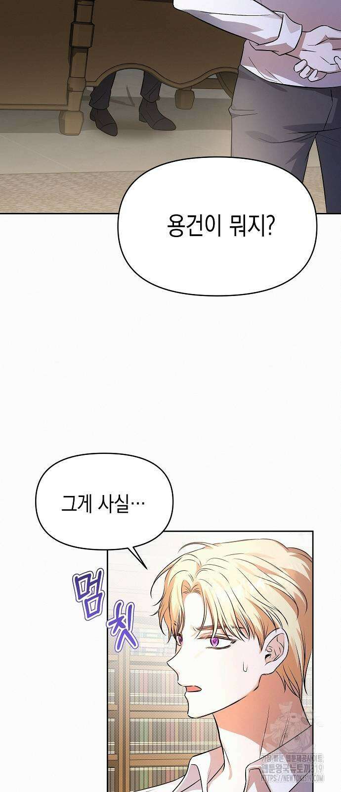 아무래도 결혼을 잘못한 것 같다 19화 26