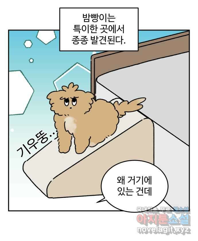 강아지는 멍멍하고 짖지 않아! 55화 -  음침한 모험가 7