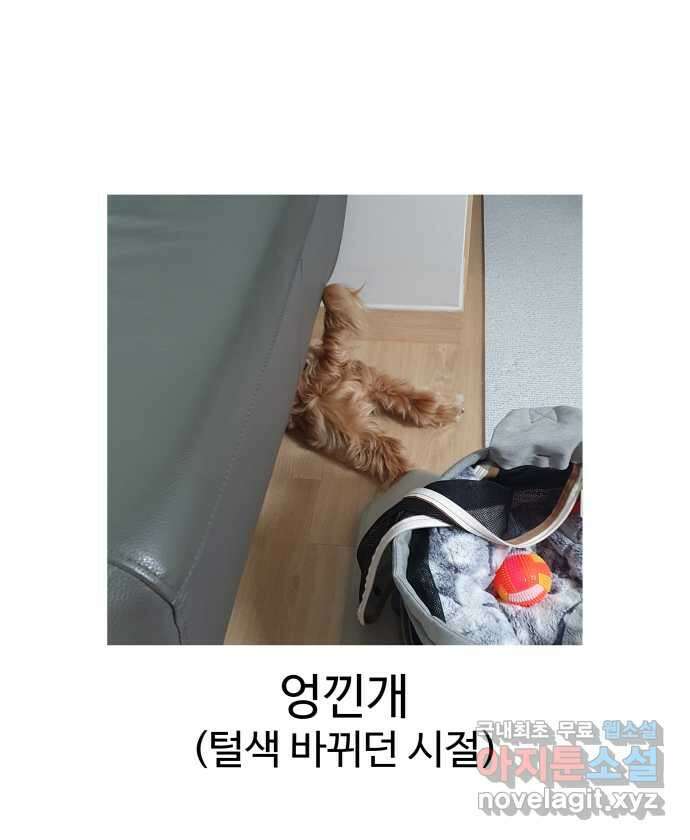 강아지는 멍멍하고 짖지 않아! 55화 -  음침한 모험가 24