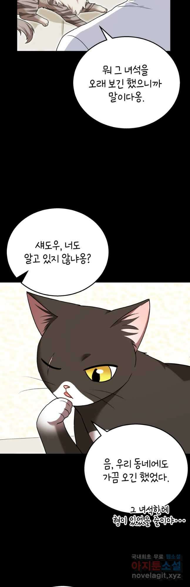 수의사님! 안녕하세요 35화 2
