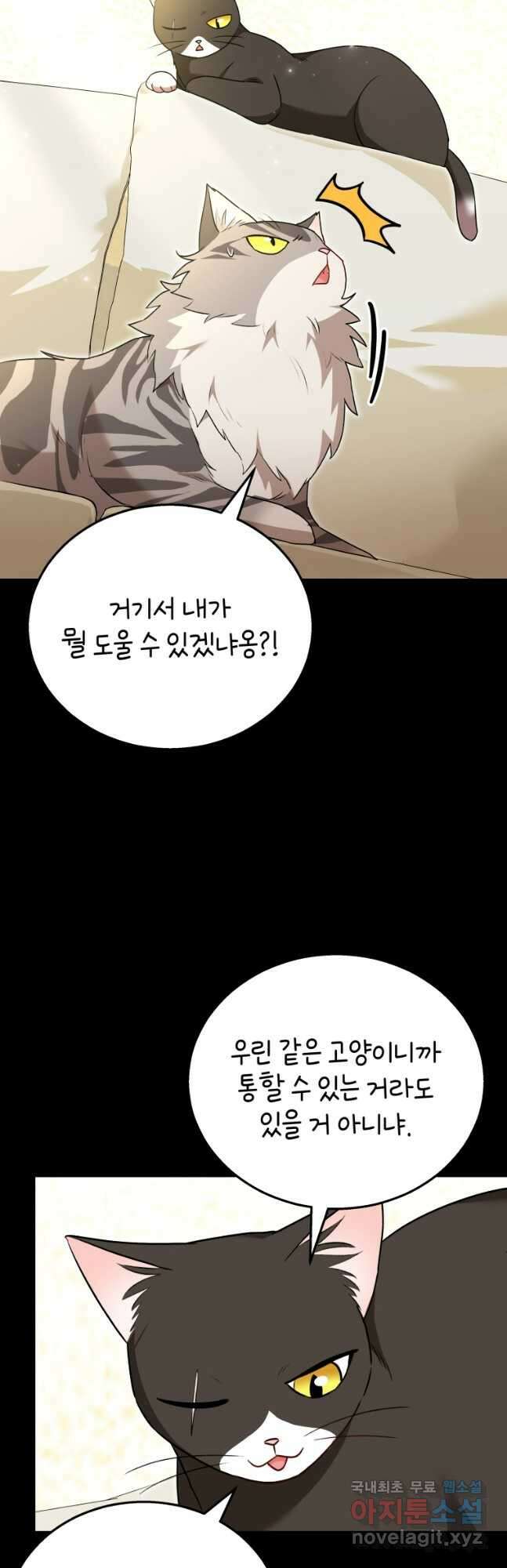 수의사님! 안녕하세요 35화 8
