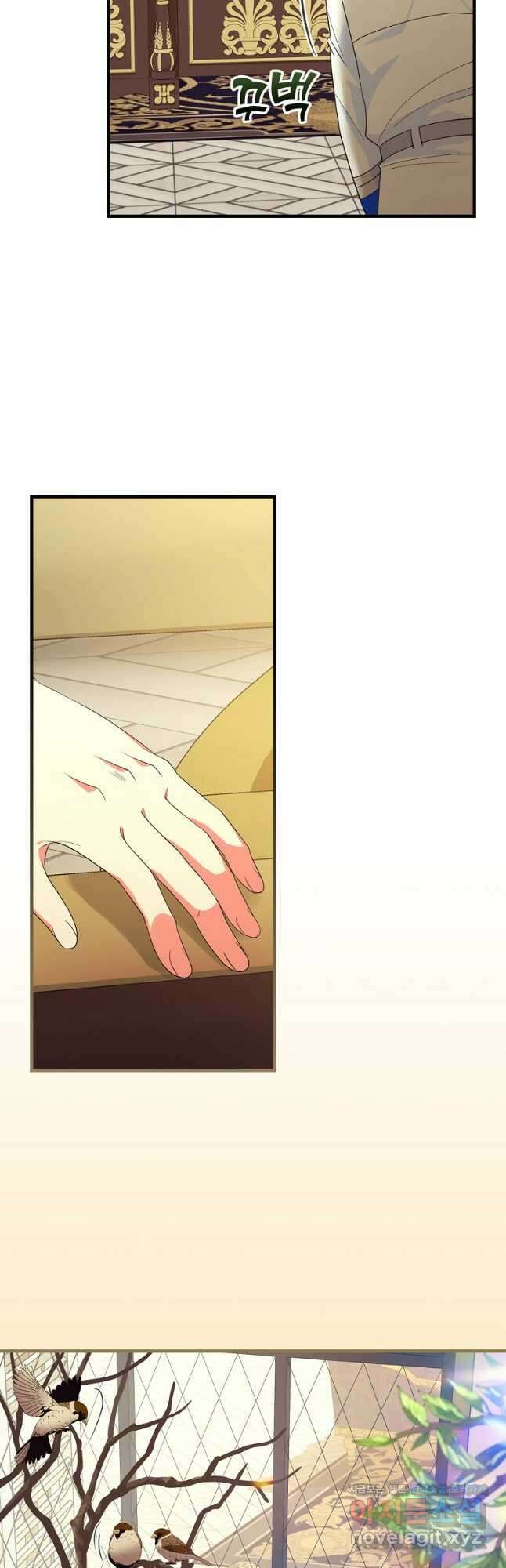 얼음꽃 기사 85화 41