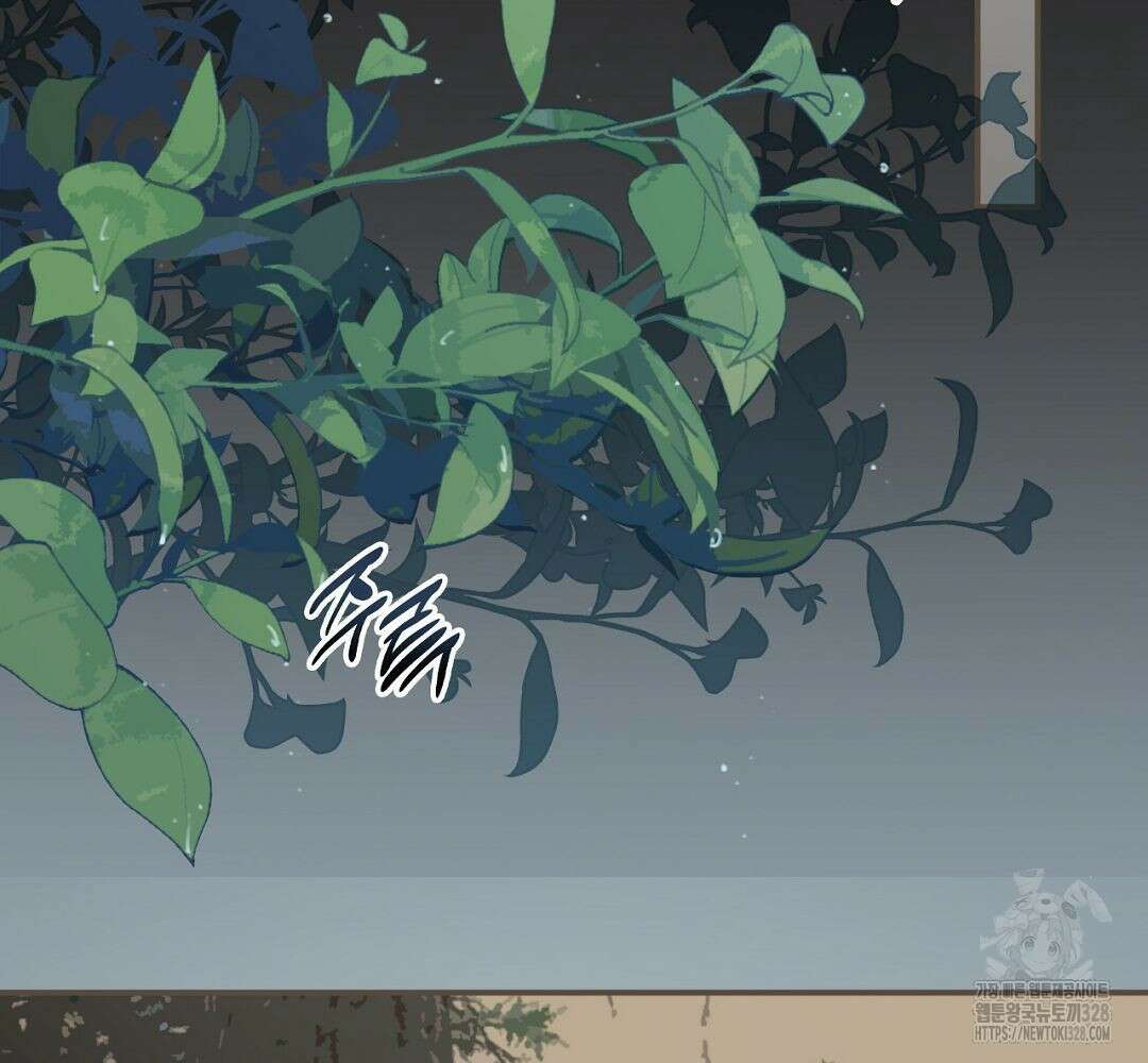그 남자가 대신 시집간 사정 72화 14