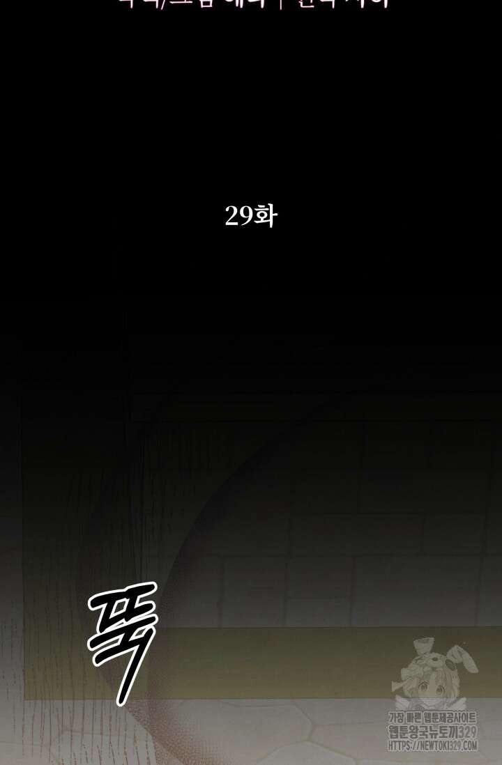 약탈혼 29화 9