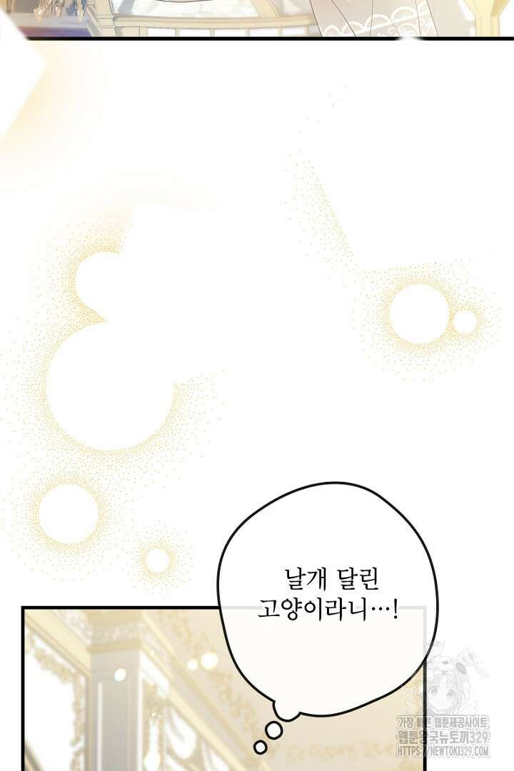 흑막 공작이 계약 결혼을 제안했다 13화 3