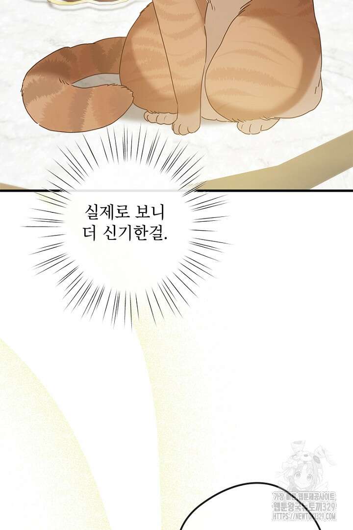 흑막 공작이 계약 결혼을 제안했다 13화 6