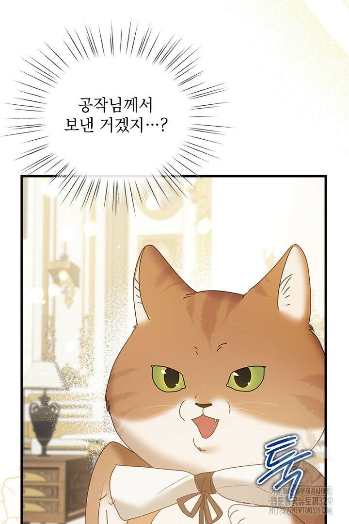 흑막 공작이 계약 결혼을 제안했다 13화 8