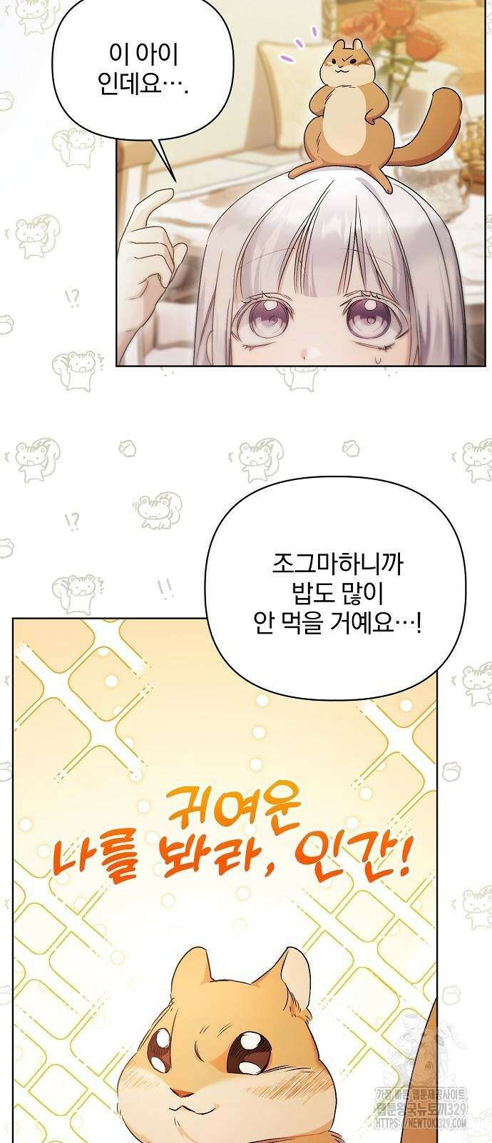 암살자 가문의 수양딸이 되었다 10화 8