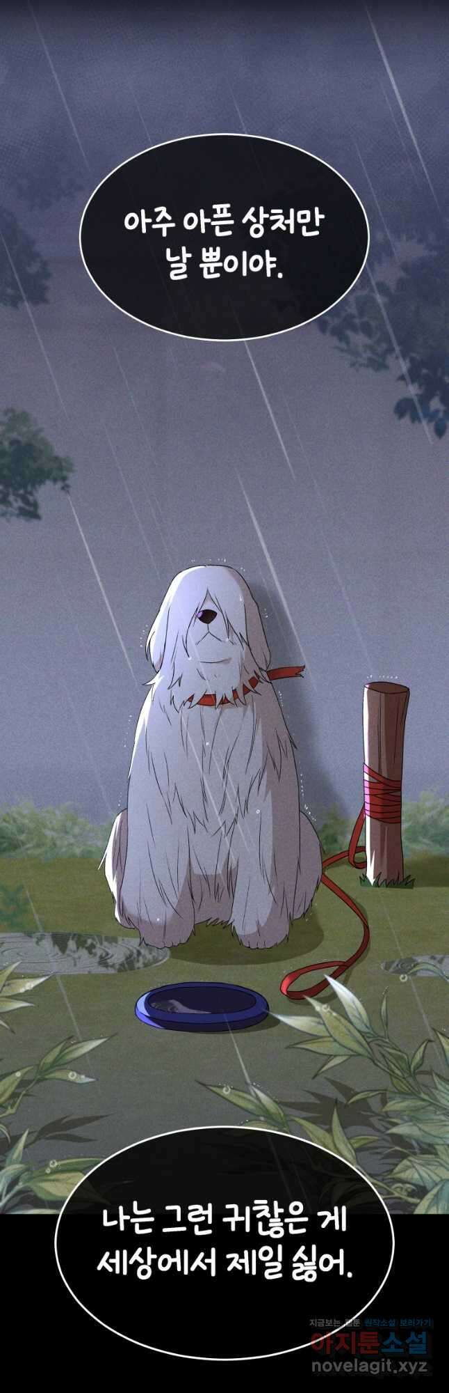 수의사님! 안녕하세요 49화 2