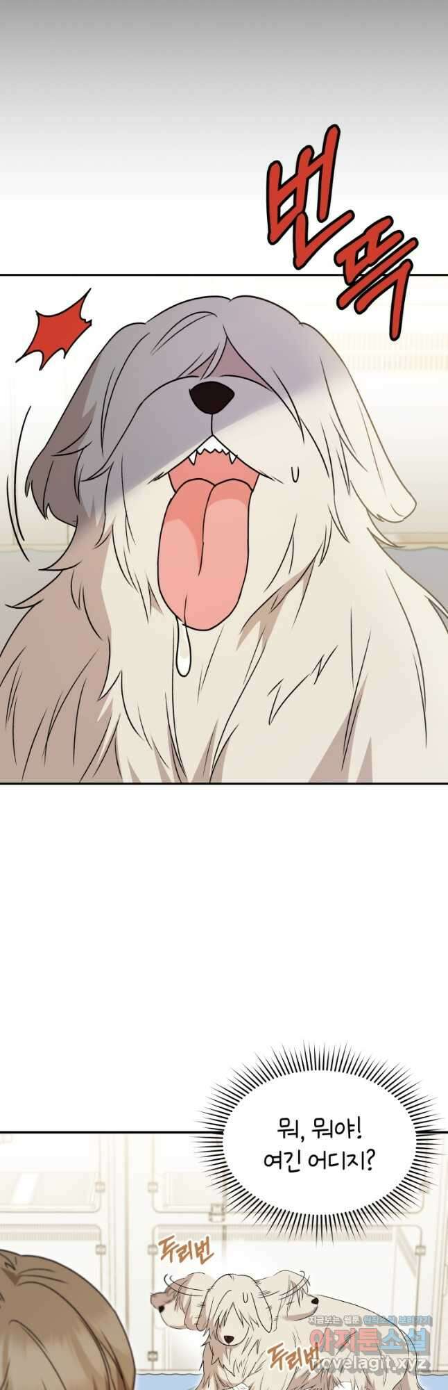 수의사님! 안녕하세요 49화 9