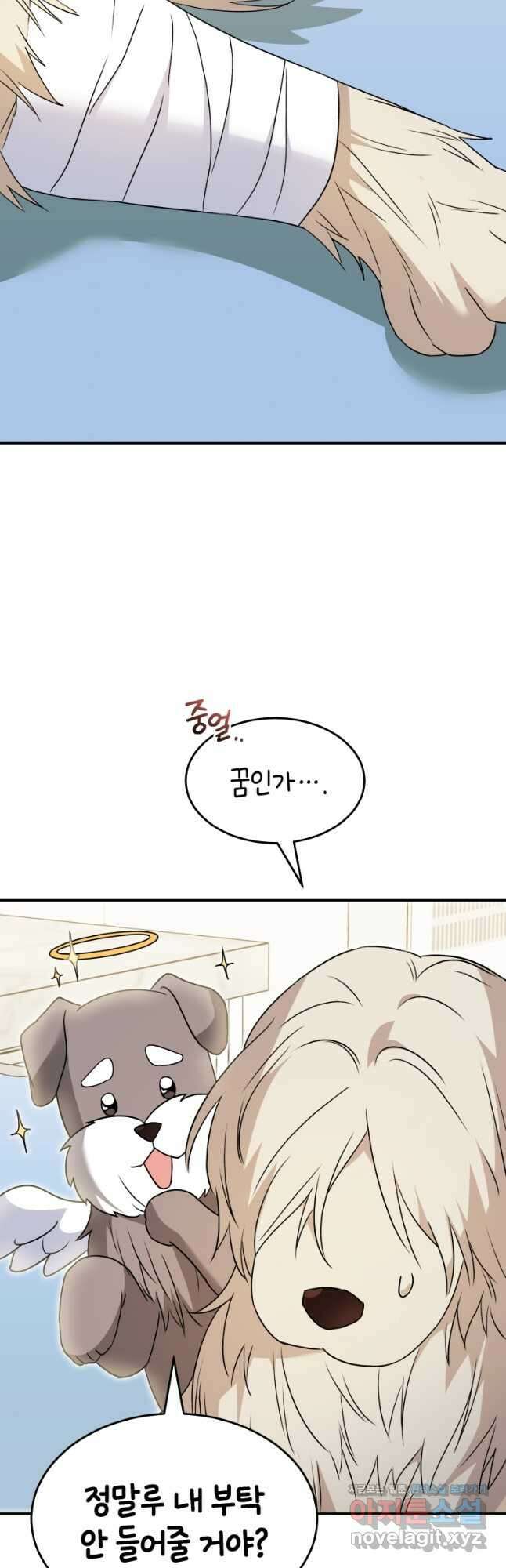 수의사님! 안녕하세요 49화 11