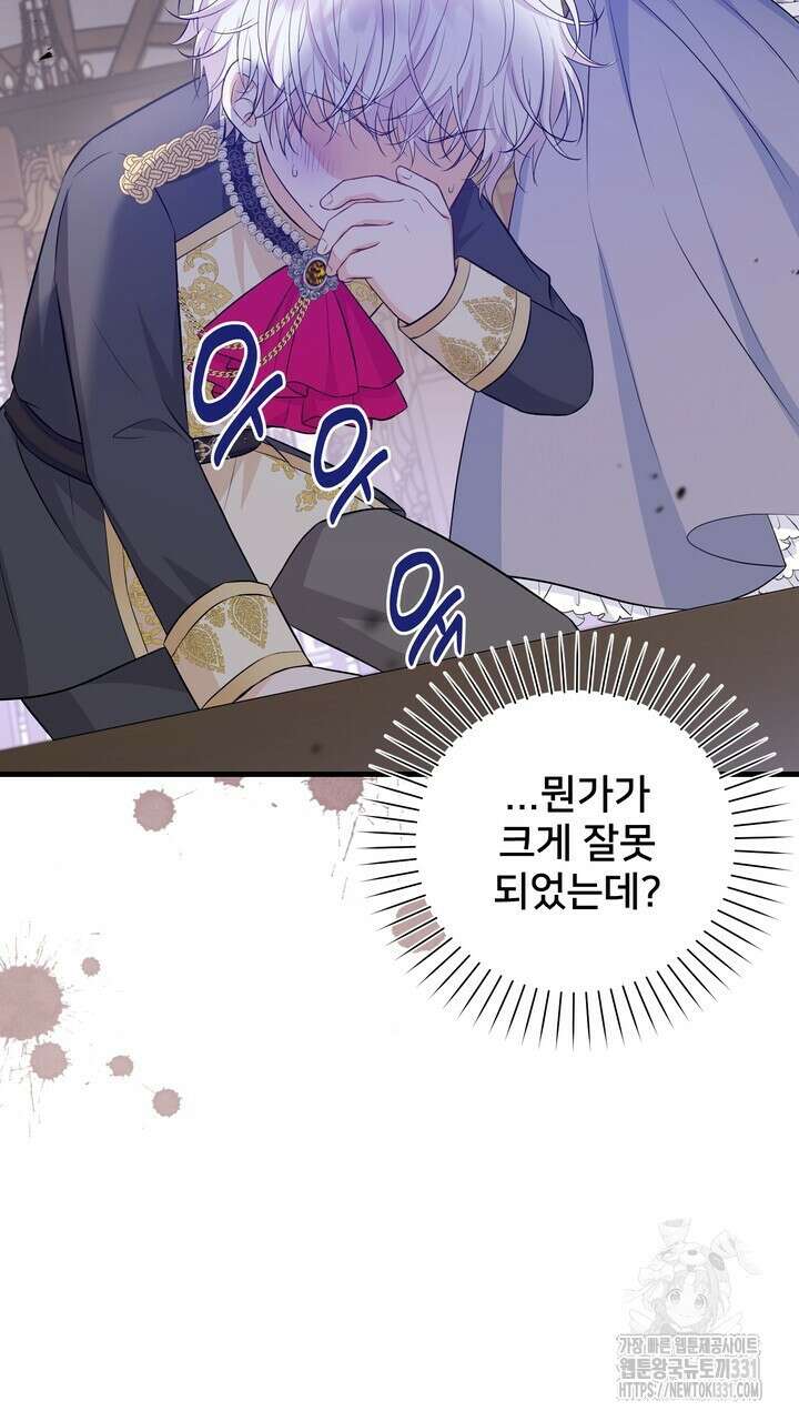S급 아기 황녀님이 너무 강해 15화 95