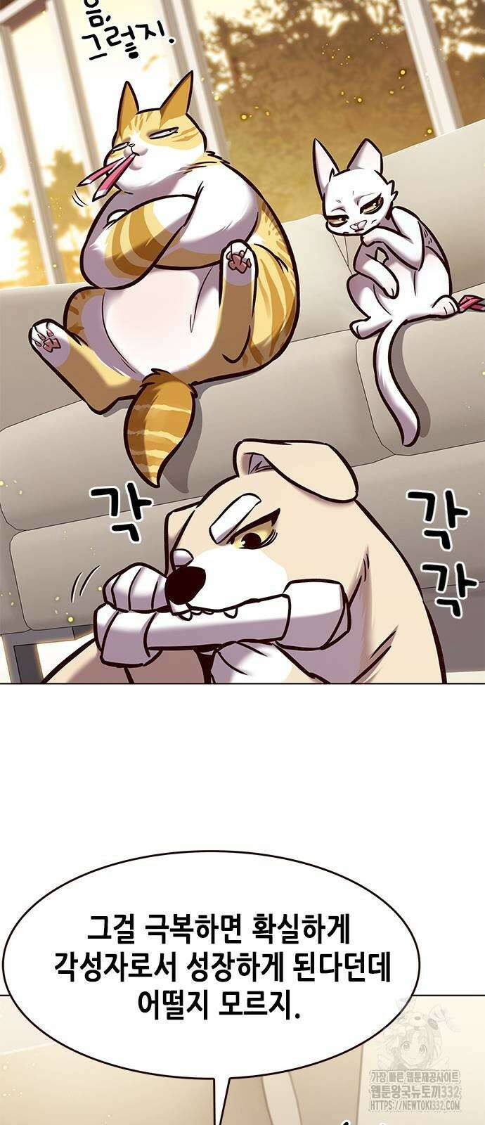 일렉시드 291화 14