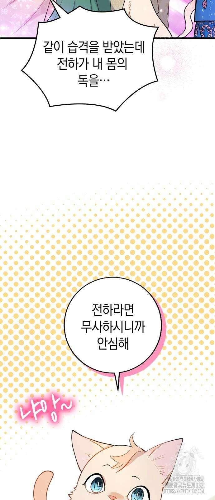쌍둥이 영애가 남장을 하는 이유 49화 10