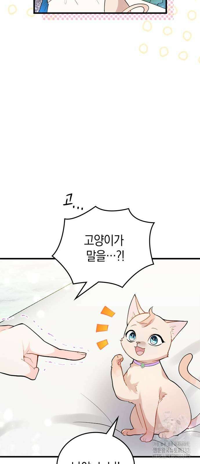 쌍둥이 영애가 남장을 하는 이유 49화 12
