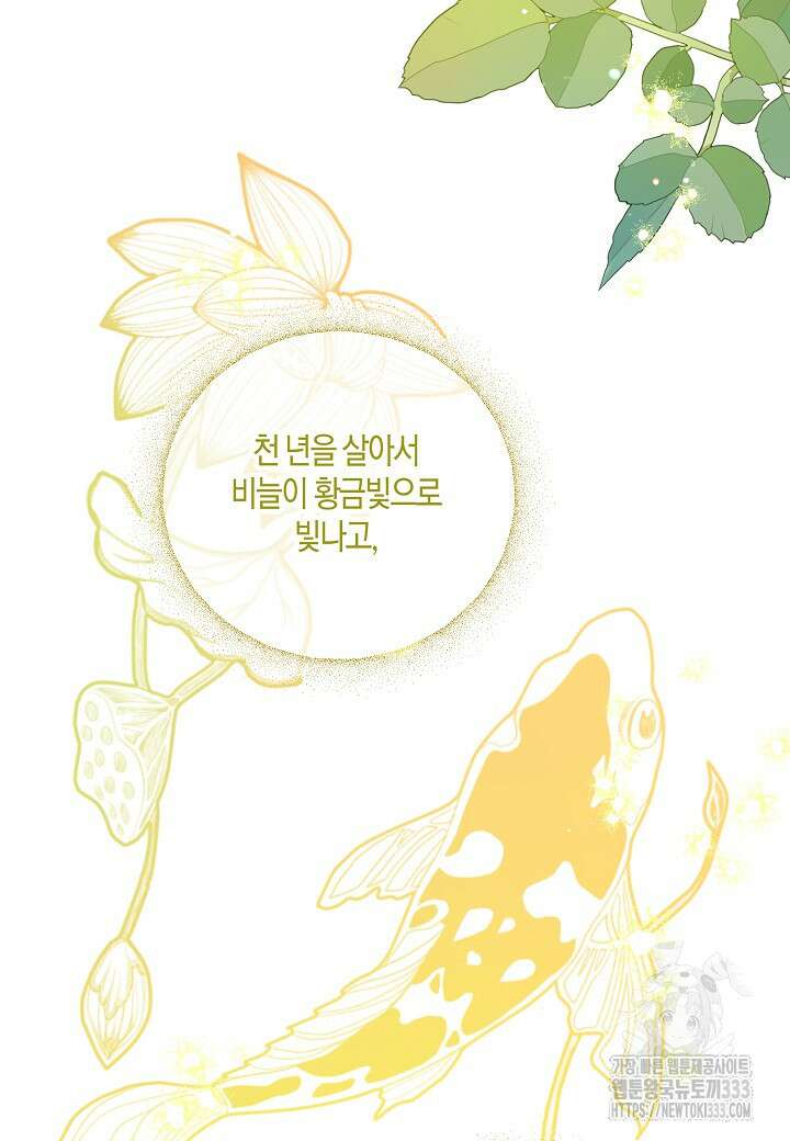 착하게 살고 싶었답니다 55화 56
