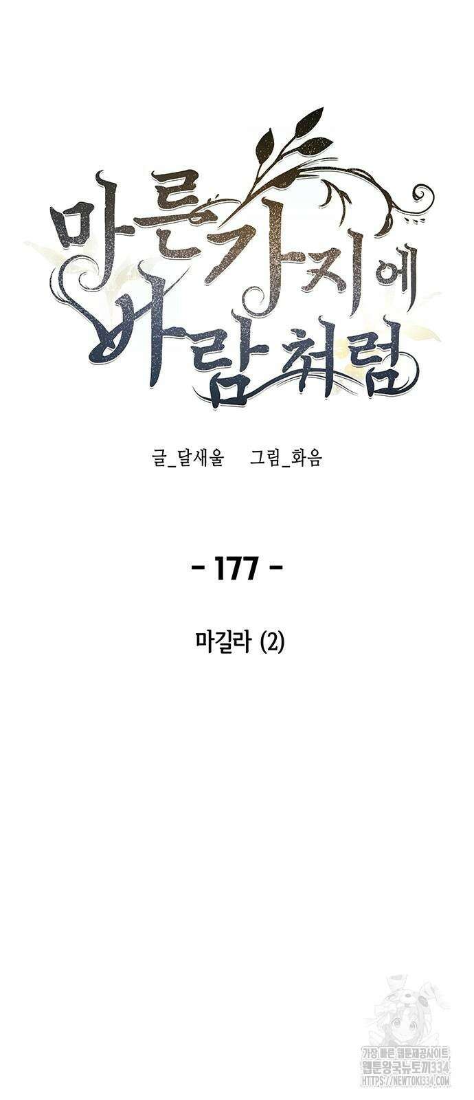 마른 가지에 바람처럼 177화 79