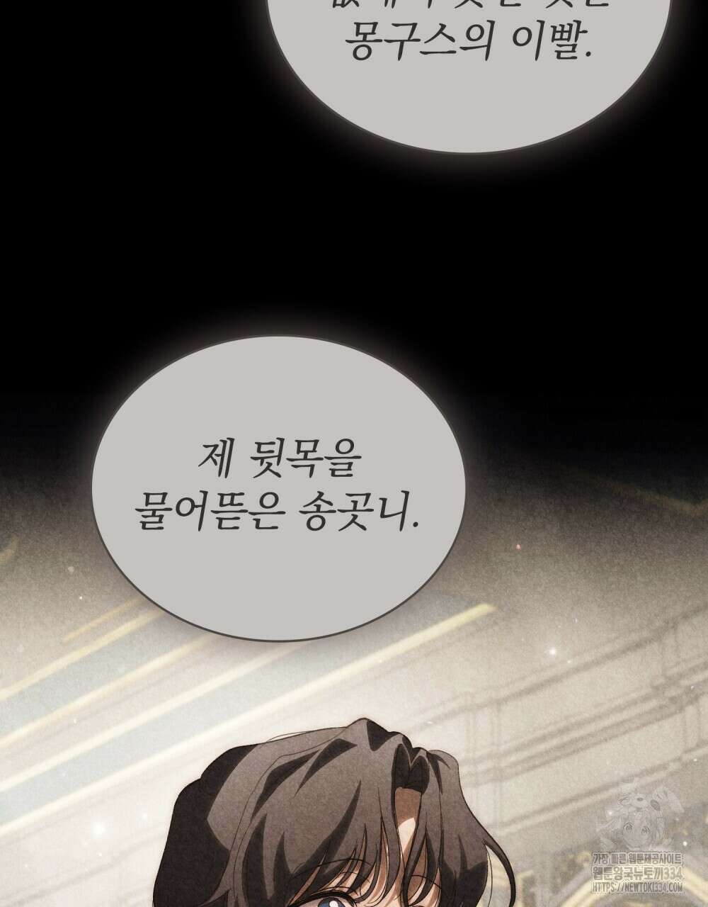신의 눈을 가린 채 입을 맞추면 33화 45