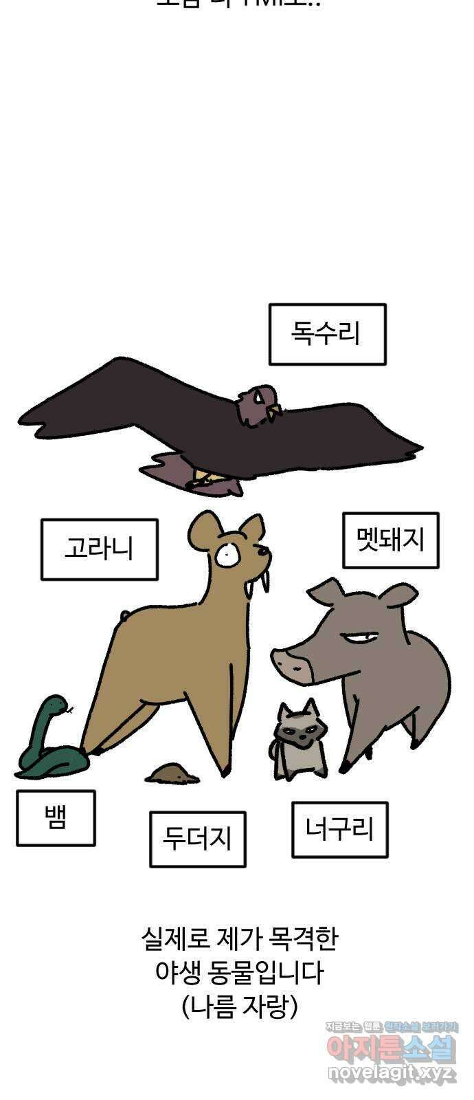 애구애구 후기 6