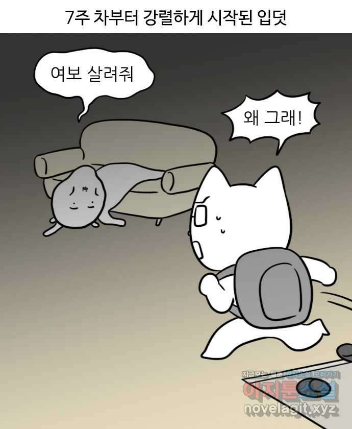 신혼일기 49화 입덧(2) 1