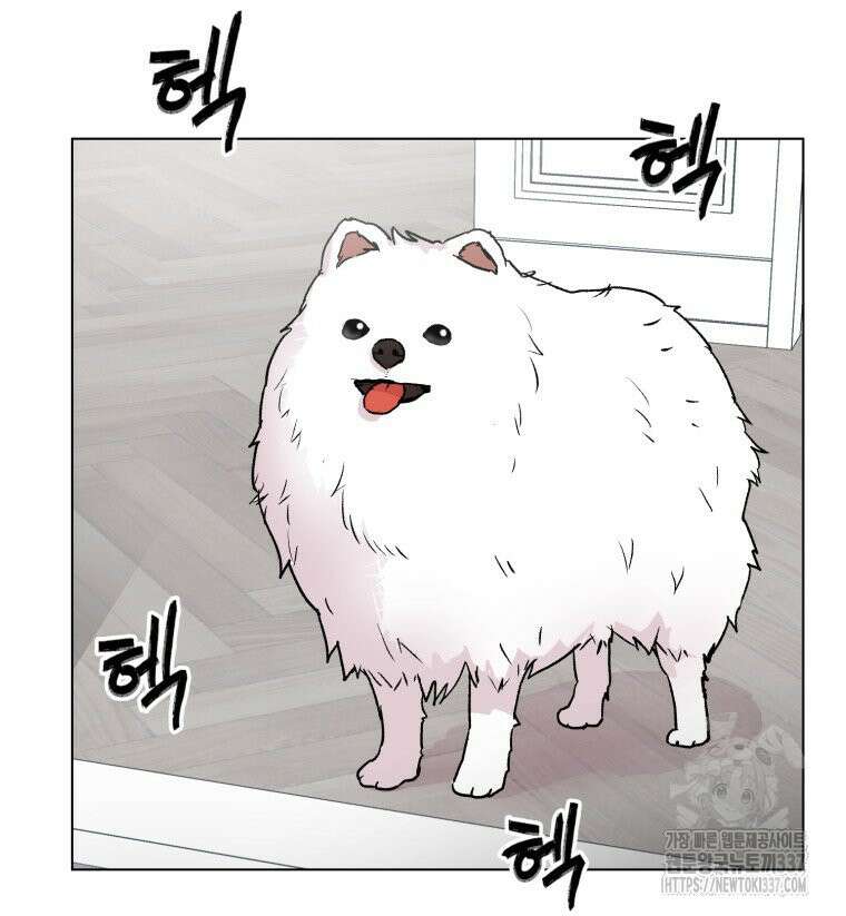 설련화 31화 6