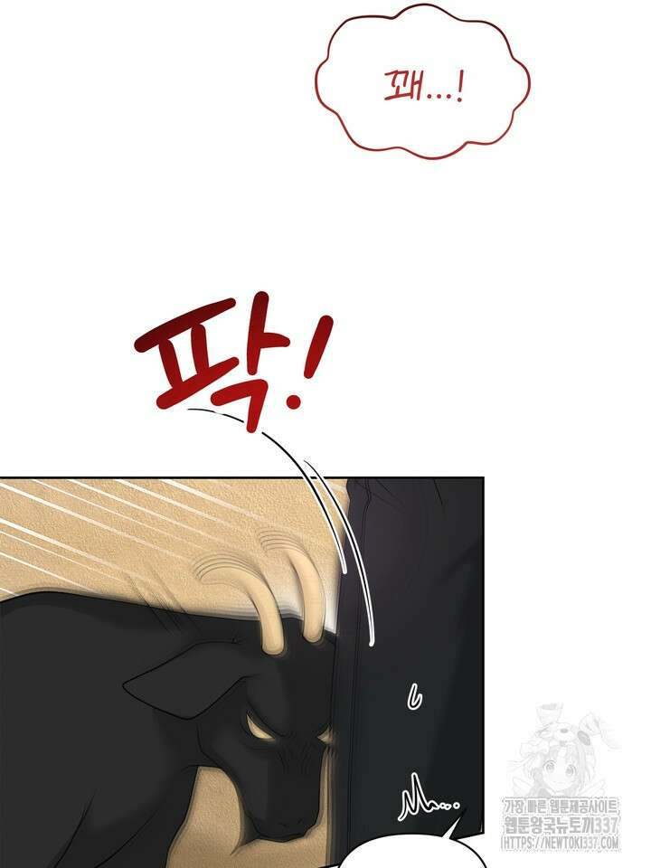 갓츄! 아일랜드 25화 16