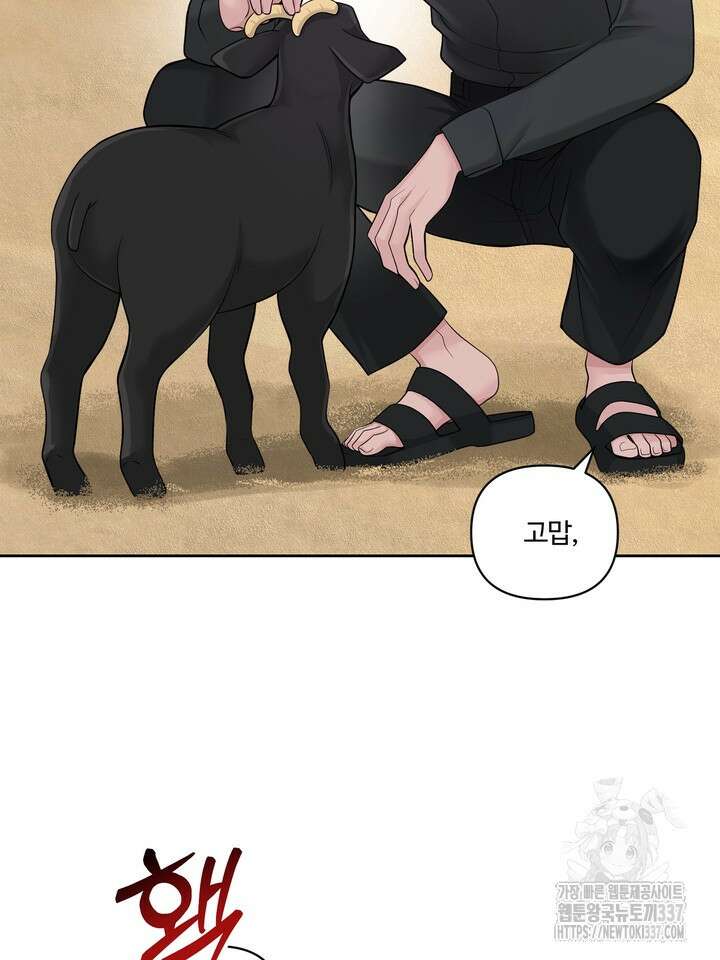갓츄! 아일랜드 25화 22