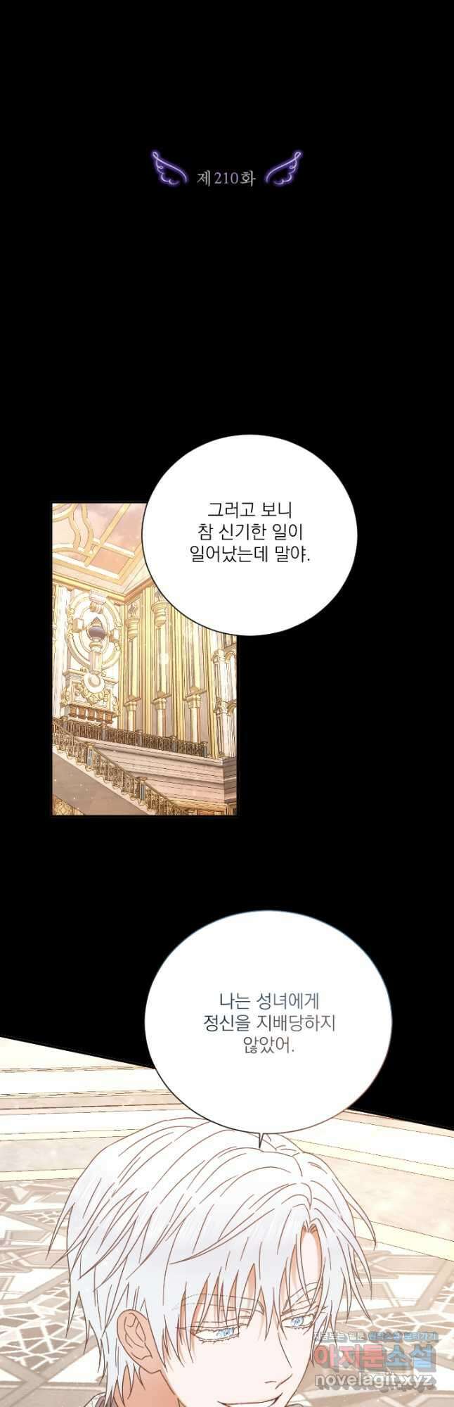 레이디 베이비 210화 3