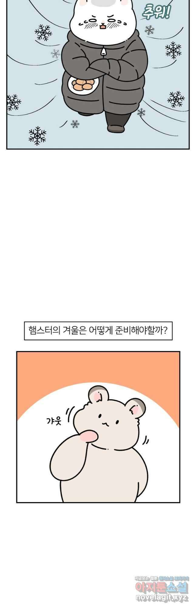 어쩌다 햄스터 12. 햄스터의 겨울나기 3
