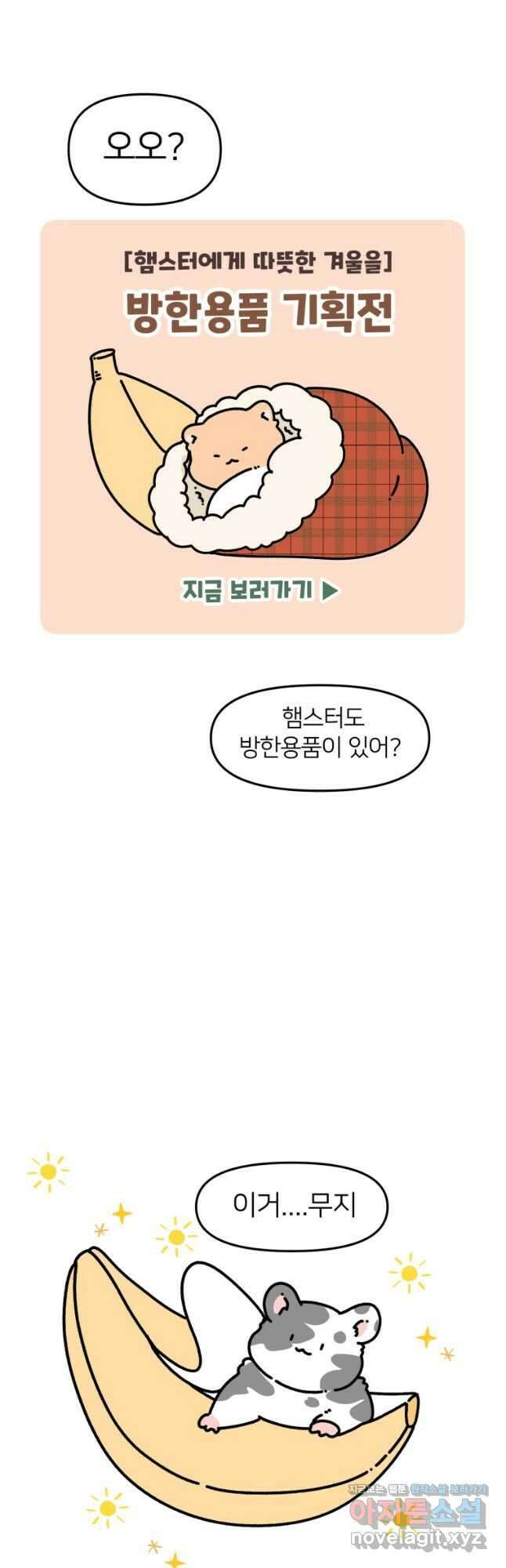 어쩌다 햄스터 12. 햄스터의 겨울나기 6
