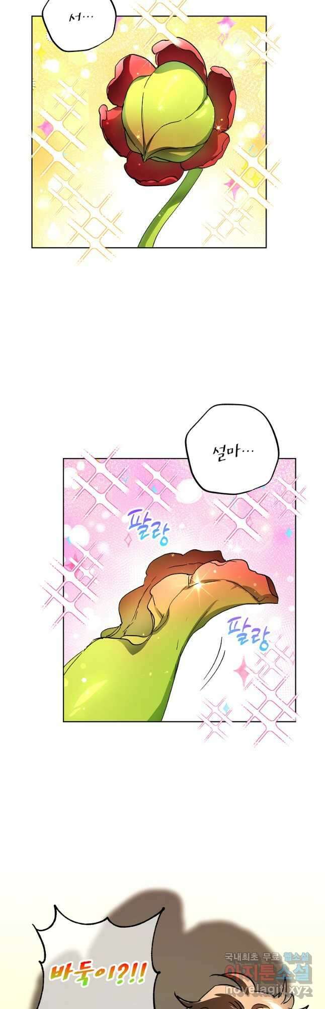 던전 안의 살림꾼 39화 26