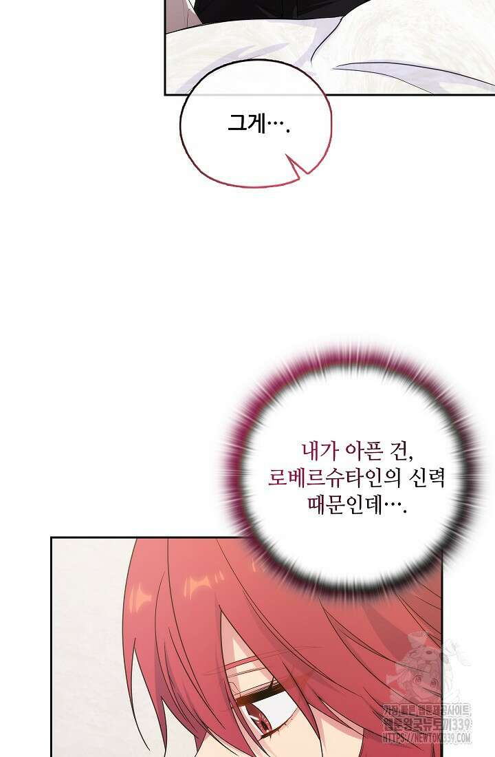 아도니스 256화 5