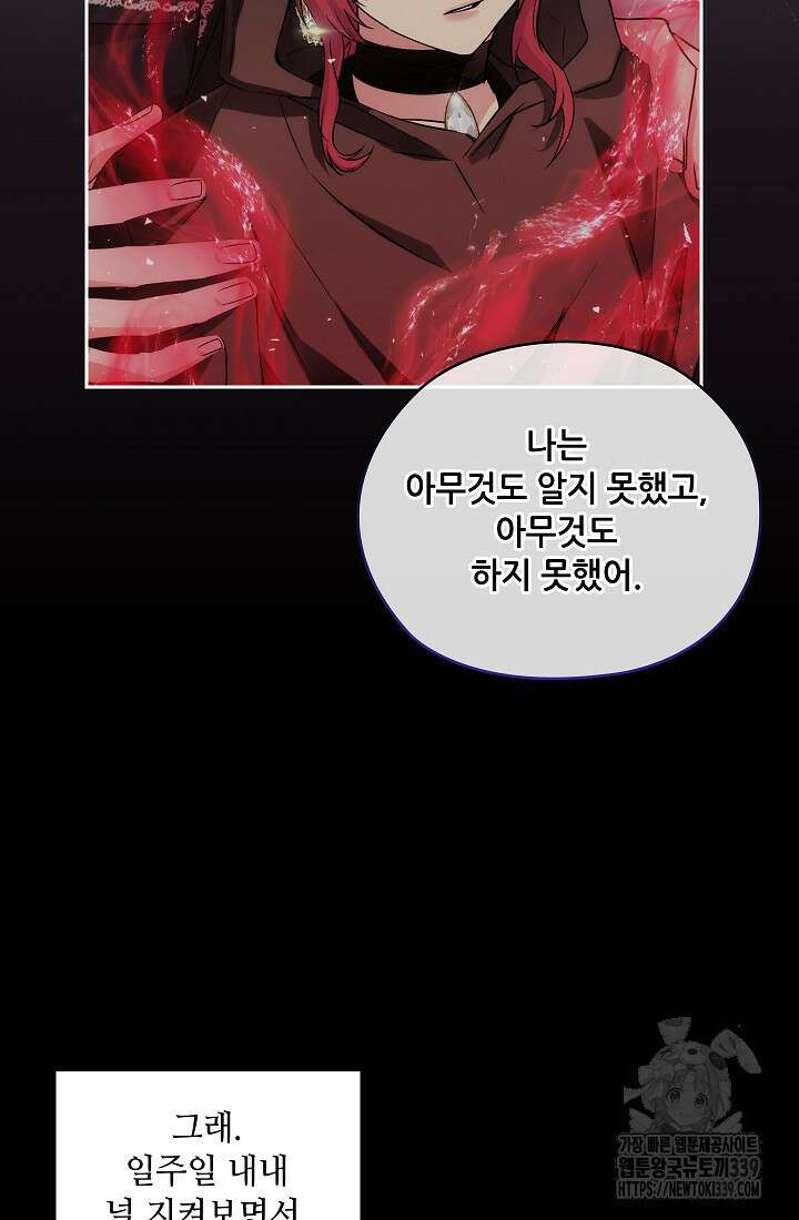 아도니스 256화 17